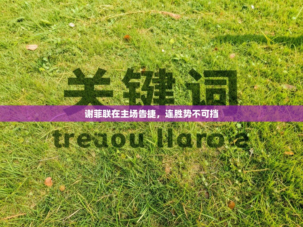 谢菲联在主场告捷,连胜势不可挡 第1张