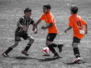 开云官网体育-人球员集体亮眼：团结一心恐怕无人能敌